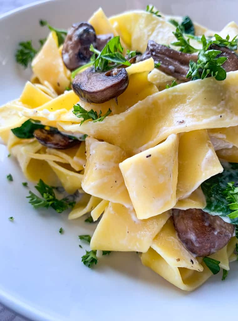 creamy fettuccine pasta with mushrooms close up shot