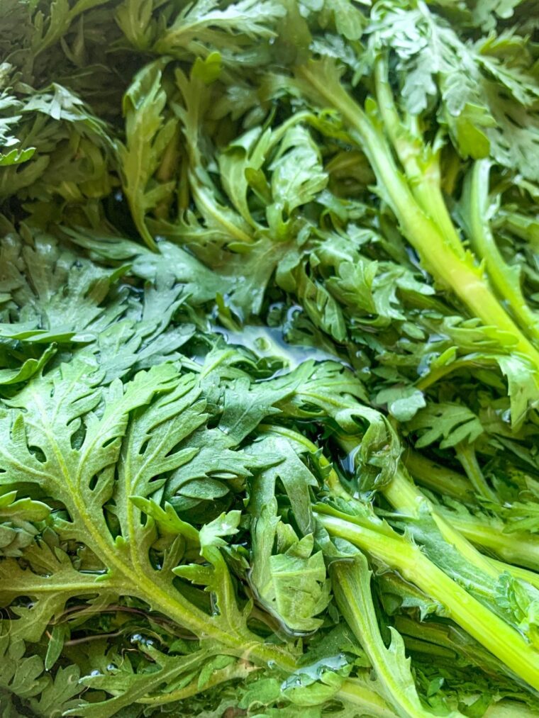 chrysanthemum greens up close